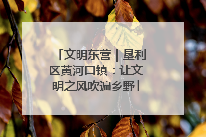 文明东营｜垦利区黄河口镇：让文明之风吹遍乡野